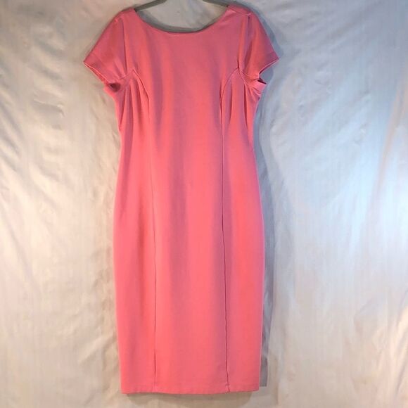 Daniel Cremieux Pink Short Sleeve Mid Length Sheath Dress Scoop Back M - Picture 1 of 10